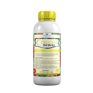 Crucial NRG